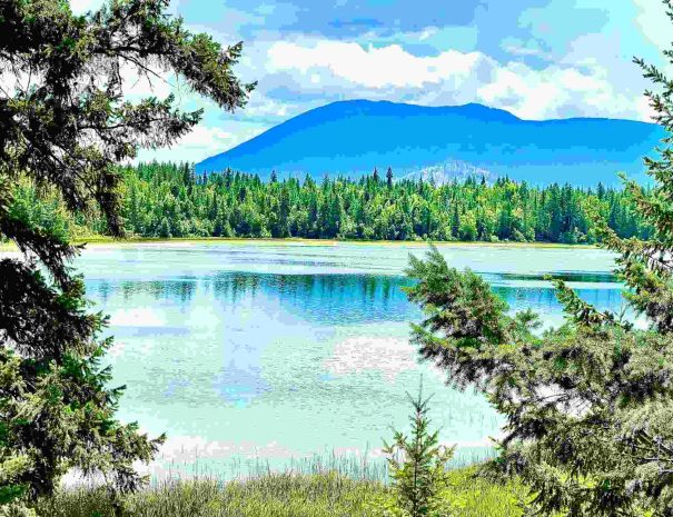 Bossa Nova Lakehouse Shuswap Vacation Rental Airbnb 1