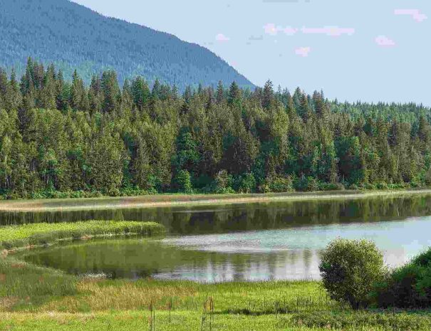 white lake 2023 bc